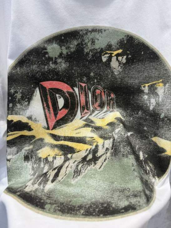 Dior T Shirts Short _SKUDiorXS-Lxetr28415418